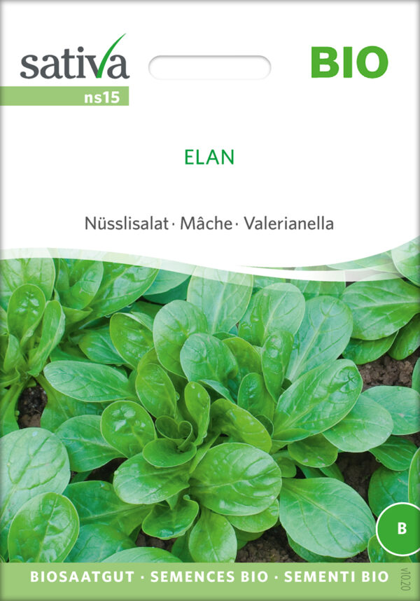 Salat - Elan - ØKO
