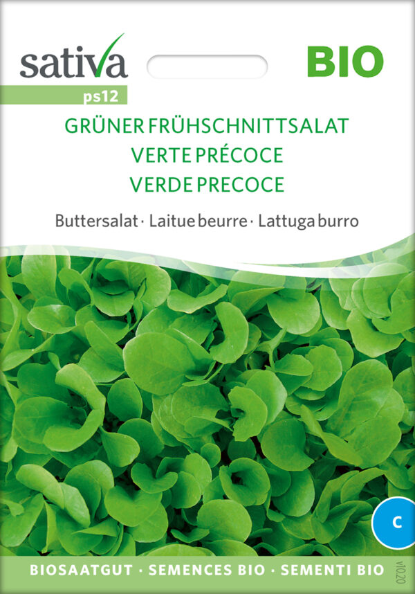 Salat - Green Early Lettuce - ØKO