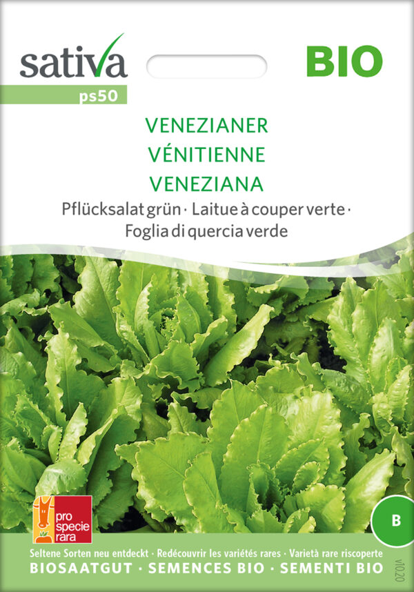 Salat - Venezianer - ØKO