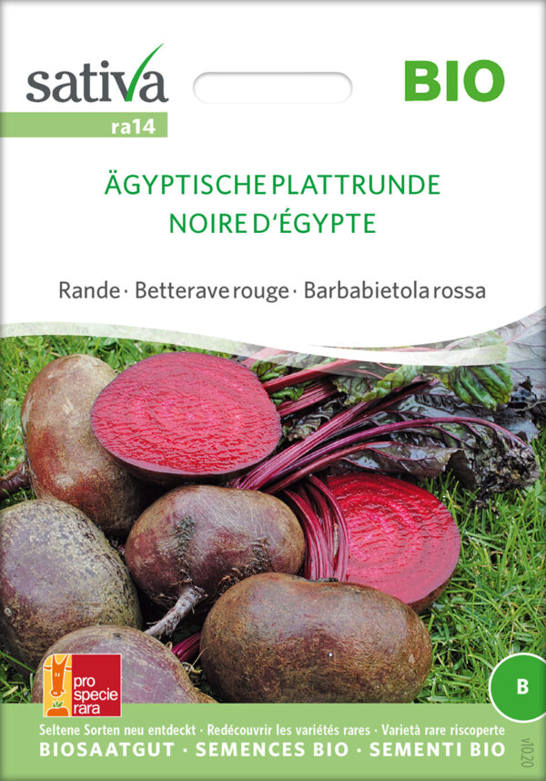 Rødbede - Ägyptische Plattrunde - ØKO