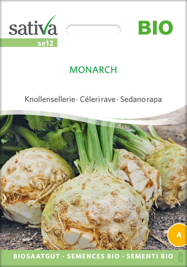 Knoldselleri - Monarch - ØKO