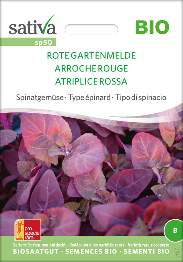 Spinat - RED ORACHE - ØKO