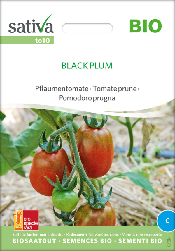 Tomat - BLACK PLUM - ØKO