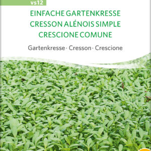 Karse- Garden Cress - ØKO