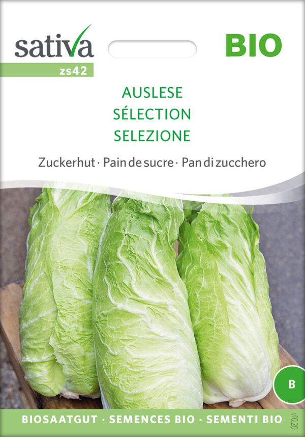 Salat - Selection - ØKO