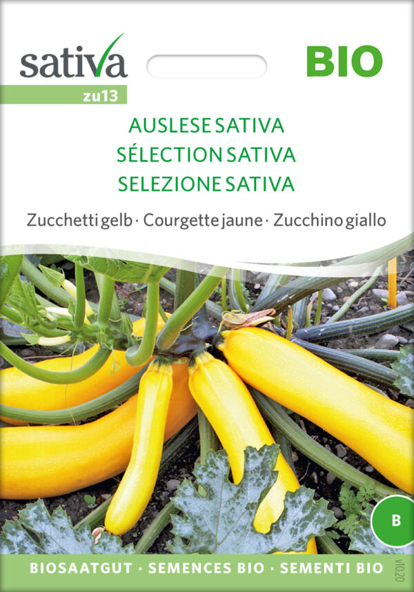 Squash - SELECTION SATIVA- ØKO