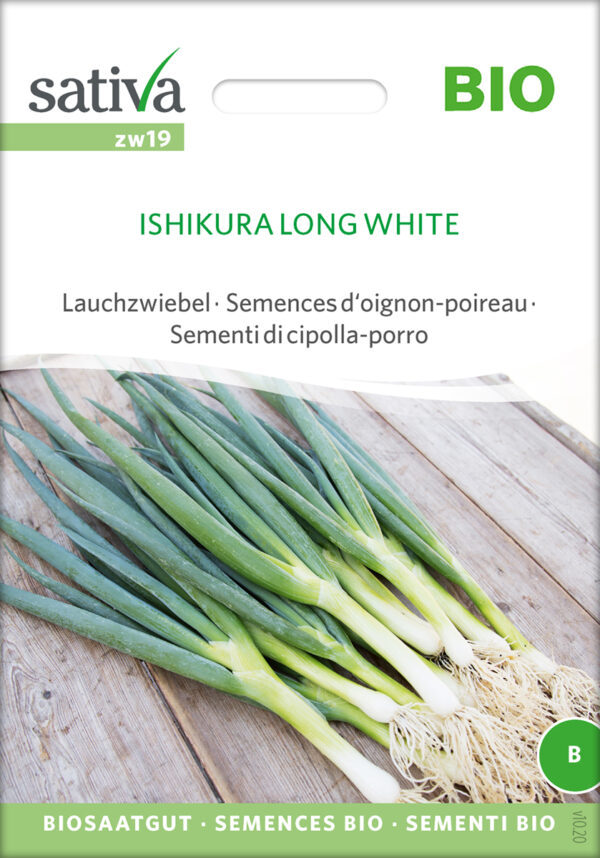 Forårsløg - ISHIKURA LONG WHITE - ØKO