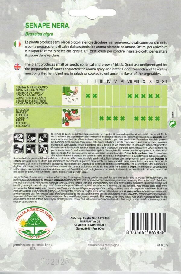 Sort Sennep - senape nera - Image 2