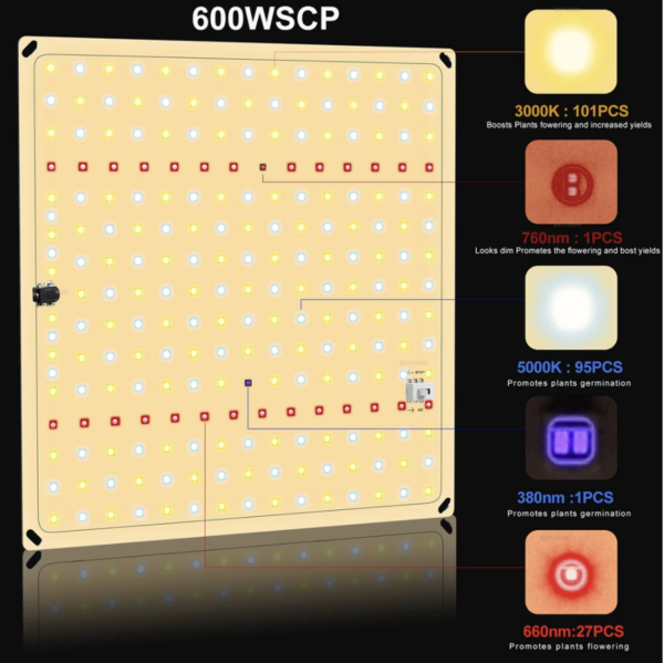 Vækstlampe: Quantumboard 650/65W DUO Samsung - Image 7