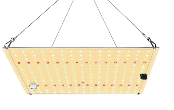 Vækstlampe: Quantumboard 650/65W DUO Samsung - Image 5