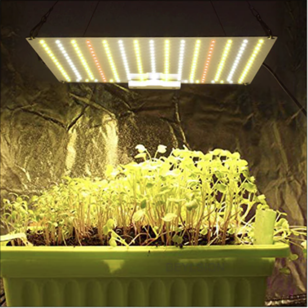 Vækstlampe: Quantumboard 650/65W DUO Samsung