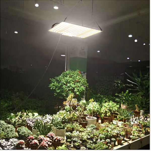 Vækstlampe: Quantumboard 650/65W DUO Samsung - Image 3