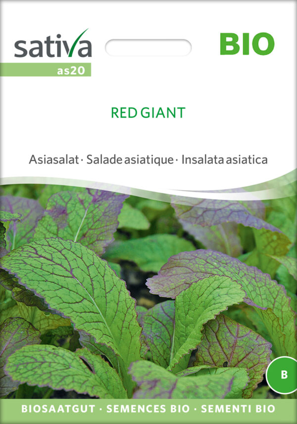 Bladsennep - Asiatisk - Red Giant - ØKO