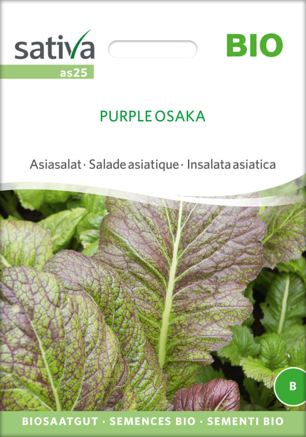 Bladsennep - Purple Osaka - ØKO