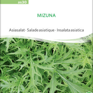 Mizuna - Asiatisk Kål - ØKO