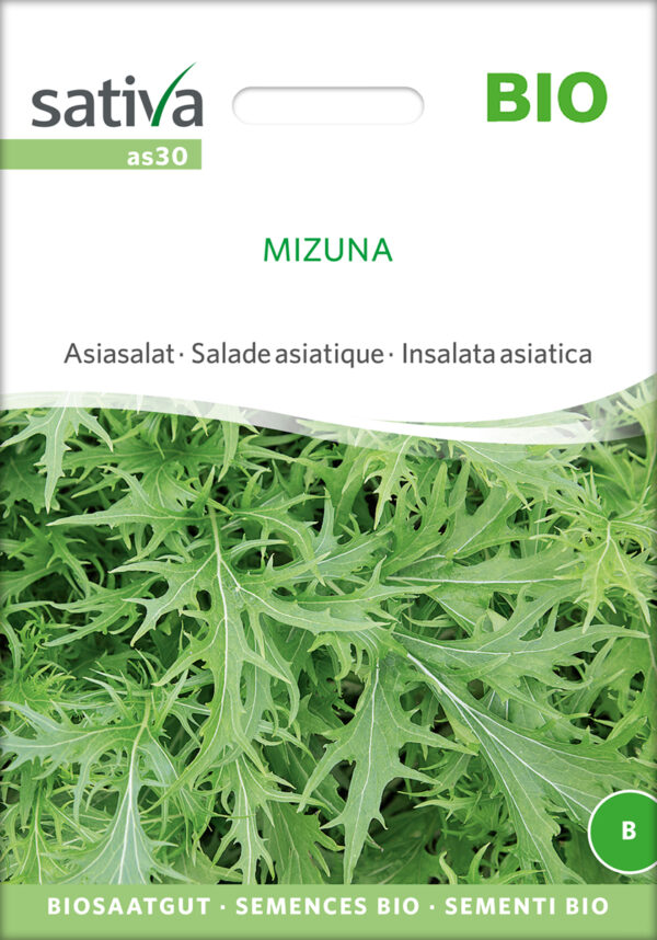 Mizuna - Asiatisk Kål - ØKO
