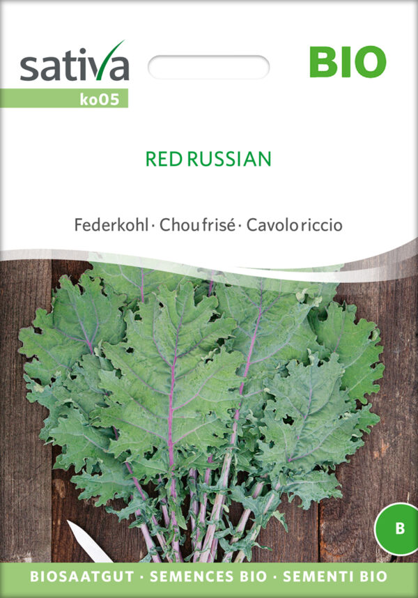 Bladkål - Red Russian - ØKO