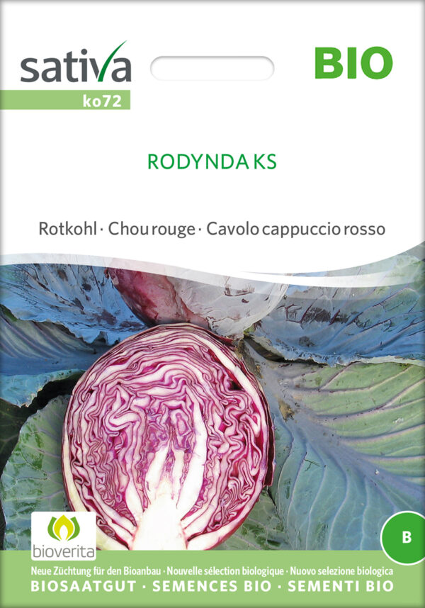 Rødkål - Rodynda KS - ØKO