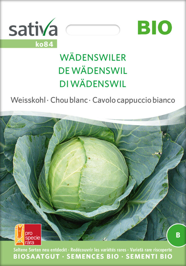 Hvidkål - Wädenswiler - ØKO