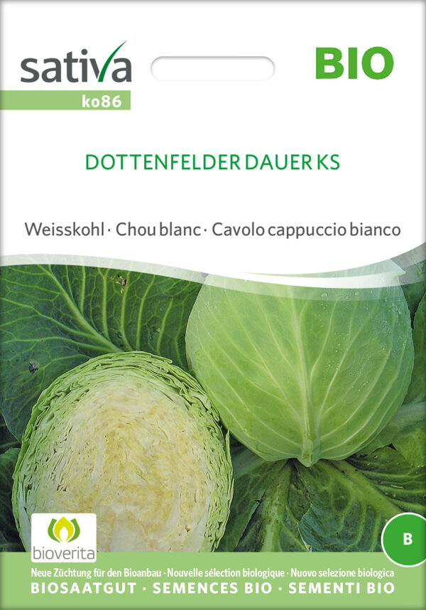 Hvidkål - Dottenfelder Dauer - ØKO