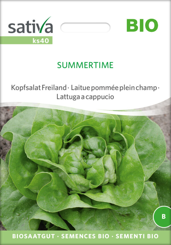 Salat - Summertime - ØKO