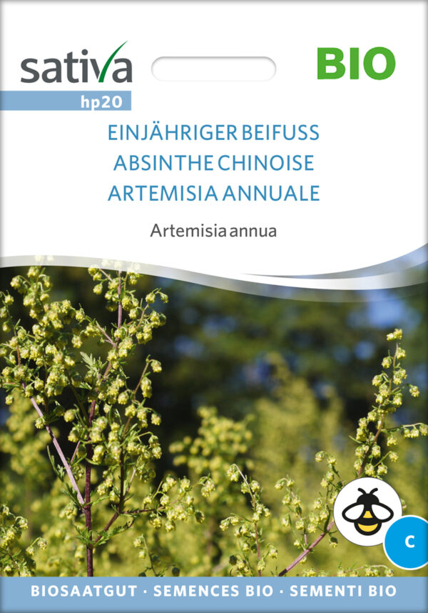 Kinesisk Malurt - Artemisia annua - ØKO