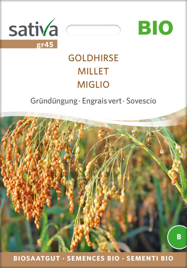Guld Hirse - ØKO