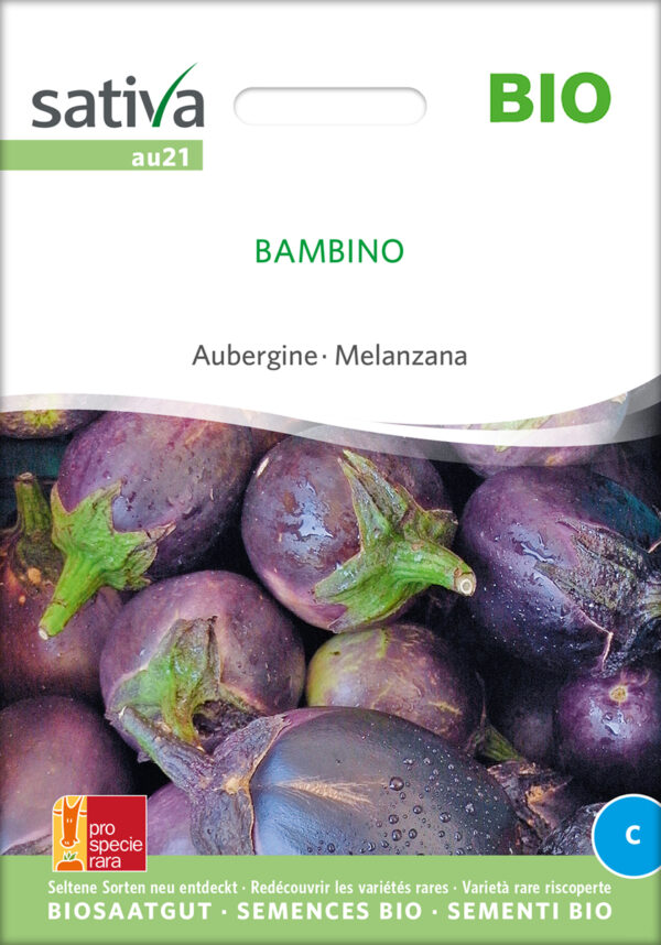 Aubergine - Bambino - ØKO