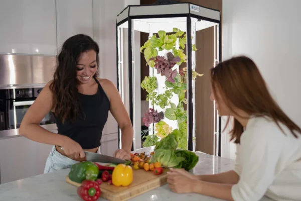 Aerospring Indendørs Hydroponic System - Image 8