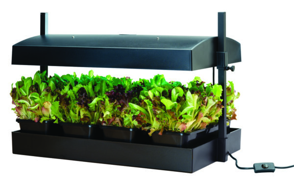 Growlight Garden Sort - LED version