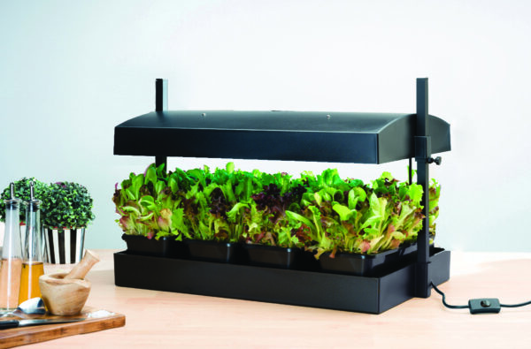 Growlight Garden Sort - LED version - Image 4