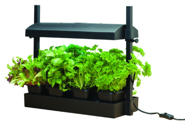 Micro Growlight Garden Sort - LED