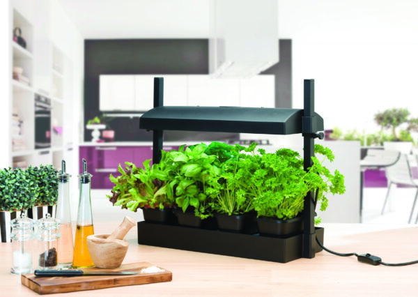 Micro Growlight Garden Sort - LED - Image 4