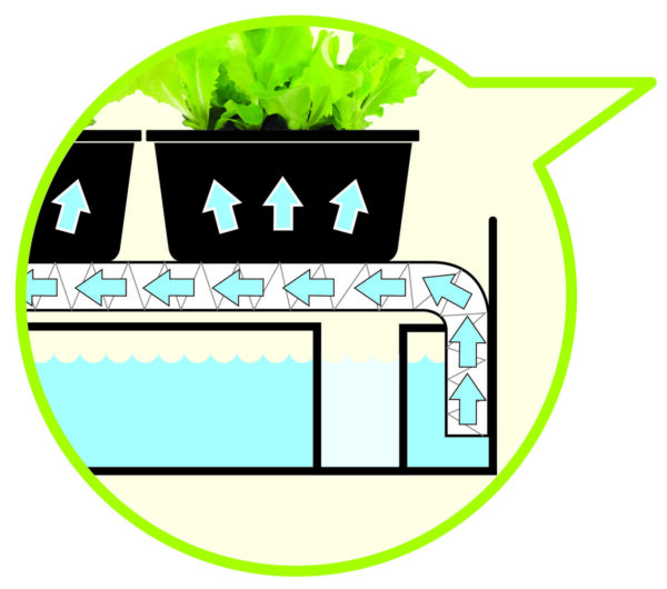 Micro Growlight Garden Sort - LED - Image 2