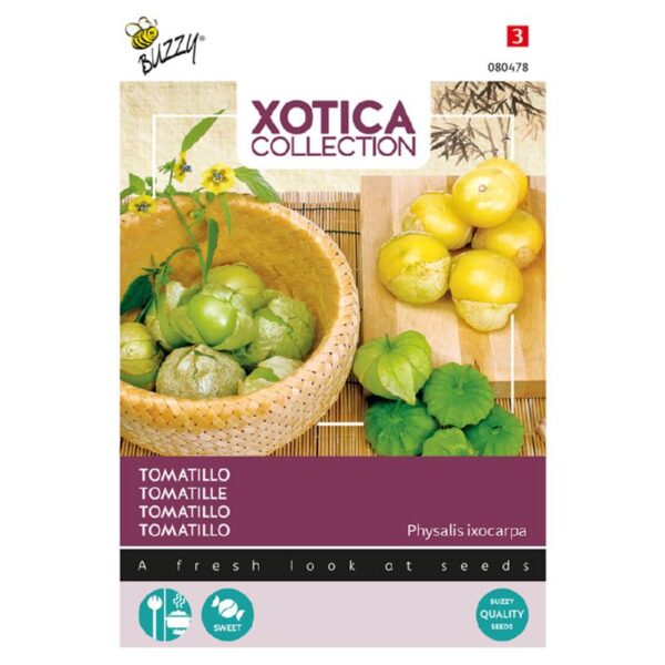 Tomatillo - Physalis ixocarpa