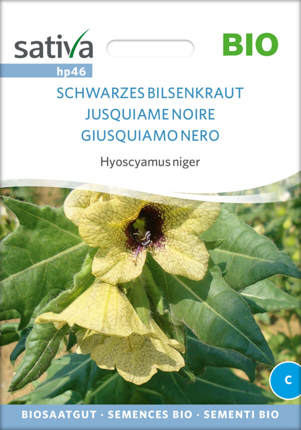Bulmeurt - Hyoscyamus niger (Sort Henbane) - ØKO