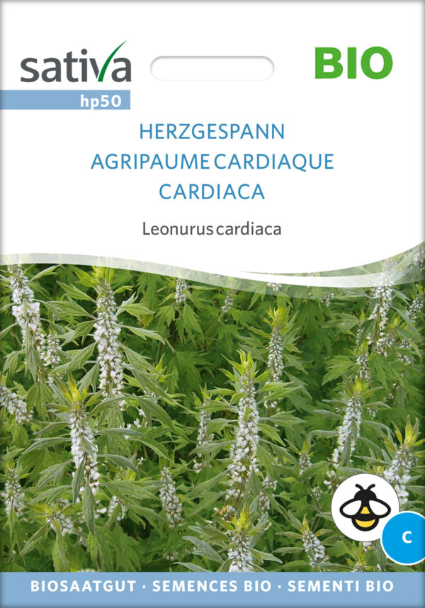 Almindelig Hjertespand - Leonurus Cardiaca - ØKO