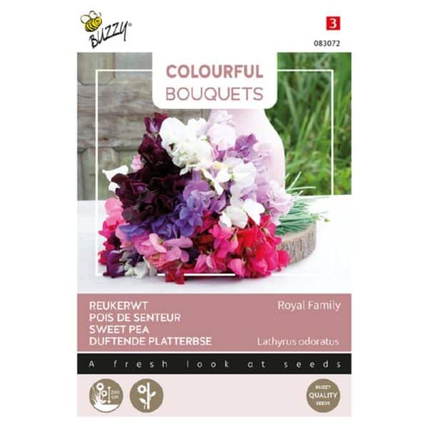 Ærteblomst - Royal Family - Lathyrus odoratus