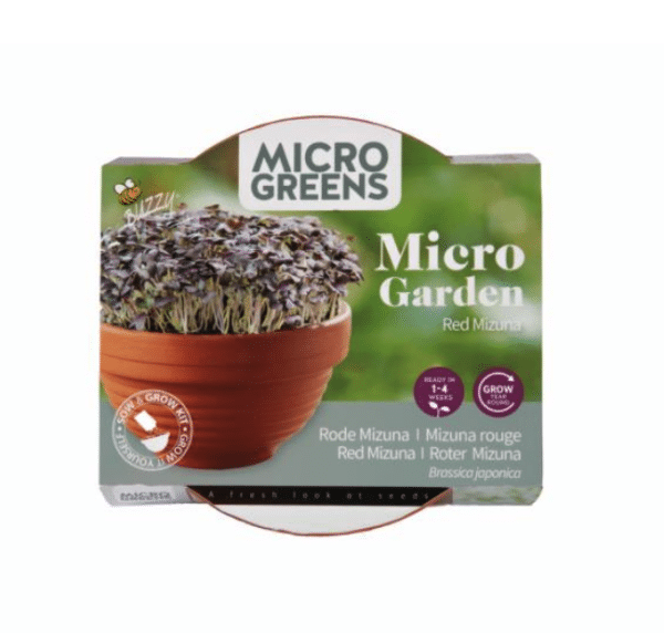 Microgreens Terracotta skål med Rød mizuna