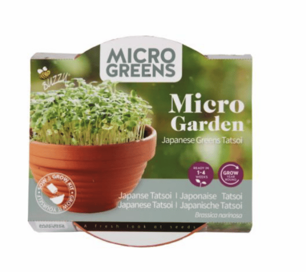 Microgreens Terracotta skål med Tatsoi