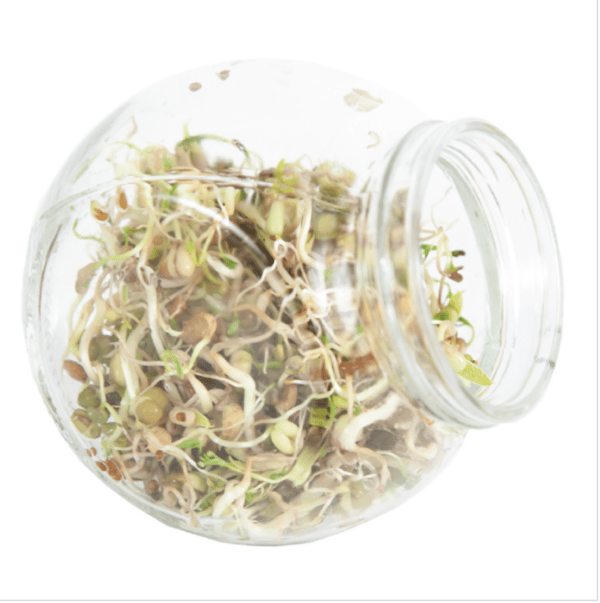 Spirekrukke med salatmix - Image 3
