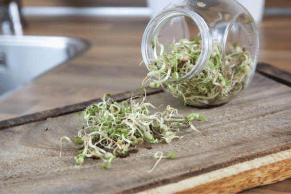 Spirekrukke med salatmix - Image 2