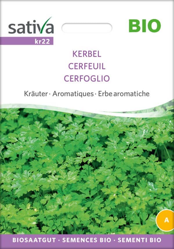 Kørvel - KERBEL - ØKO