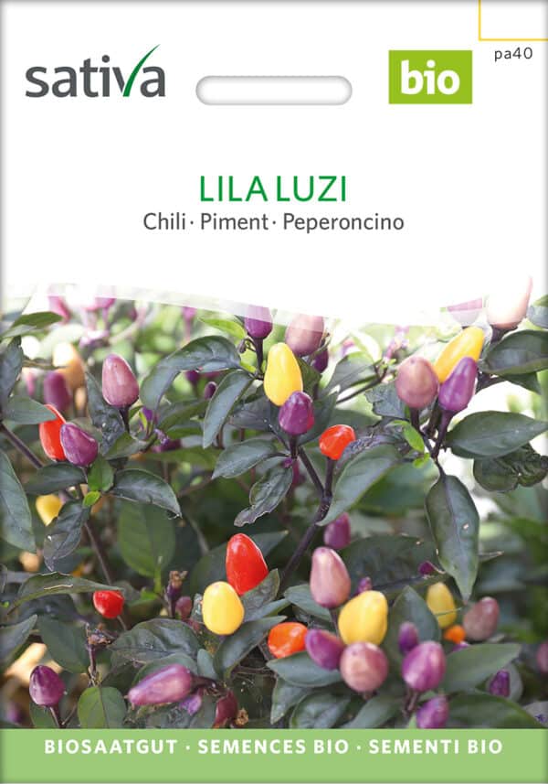 Chili - Lila Luzi - ØKO