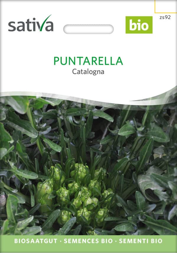 Cicoria - Julesalat - Puntarella Catalogna - ØKO