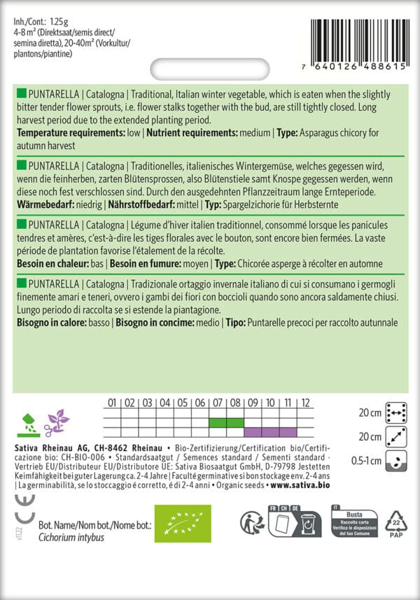 Cicoria - Julesalat - Puntarella Catalogna - ØKO - Image 2
