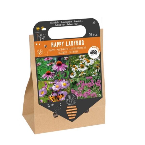 Blomsterløg Box - Mariehøne Venlig Mix