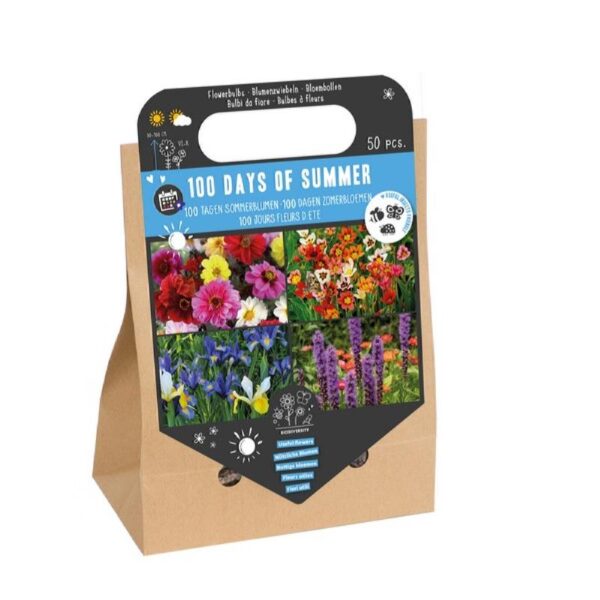 Blomsterløg Box - 100 days of summer Mix