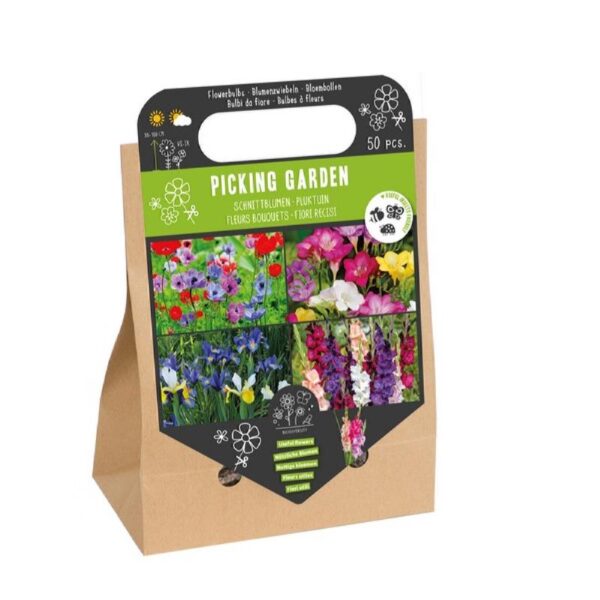 Blomsterløg Box - Snitblomster