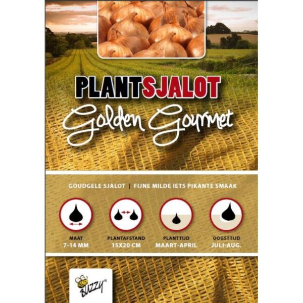 Sætteløg - Skalotte - Golden Gourmet